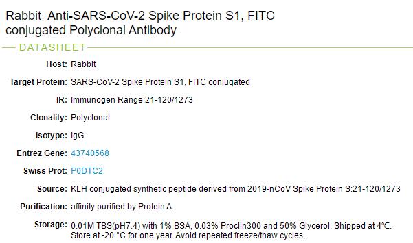 Rabbit Anti-SARS-CoV-2 Spike Protein S1 antibody(FITC)