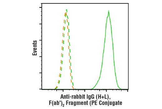 Anti-rabbit IgG (H+L) F(ab')<sub>2</sub> Fragment (PE Conjugate)