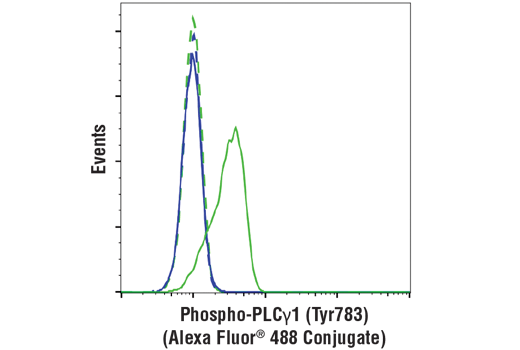 Phospho-PLCγ1 (Tyr783) (D6M9S) Rabbit mAb (Alexa Fluor 488 Conjugate)