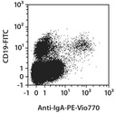 Anti-IgA-PE-Vio770, h, IS11-8E10, 100 t