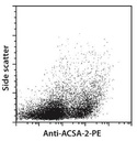 Anti-ACSA-2-PE, mouse