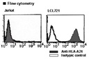 Anti-HLA-A24 (Human) mAb-FITC