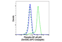 Phospho-NF-kappaB p65 (Ser536) (93H1) Rabbit mAb (APC Conjugate)